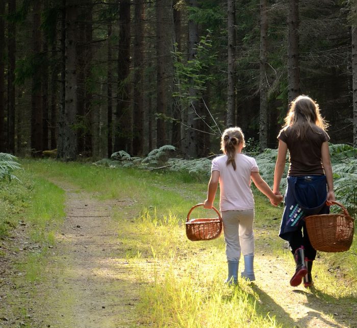 2 κορίτσια στο δάσος για να μαζέψουν άγρια μανιτάρια