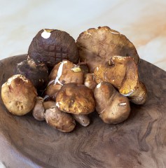 porcini-vasilomanitara