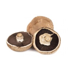 portobello-manitaria