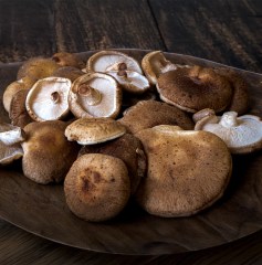 shiitake