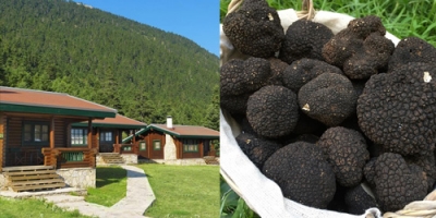 &Sigma;&epsilon; &sigma;&alpha;&lambda;έ &amp; &xi;&epsilon;&nu;&omicron;&delta;&omicron;&chi;&epsilon;ί&alpha;