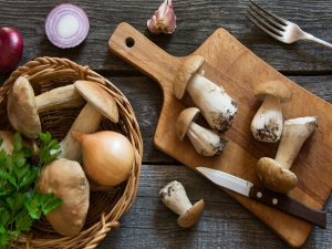 &Mu;&alpha;&nu;&iota;&tau;ά&rho;&iota;&alpha; &tau;&omicron;&upsilon; &delta;ά&sigma;&omicron;&upsilon;&sigmaf; &sigma;&tau;&eta;&nu; &kappa;&omicron;&upsilon;&zeta;ί&nu;&alpha; &mu;&alpha;&sigmaf;