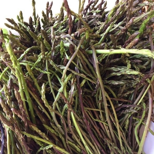 Ά&gamma;&rho;&iota;&omicron; &sigma;&pi;&alpha;&rho;ά&gamma;&gamma;&iota; - Asparagus acutifolius