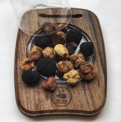 &Mu;&iota;&xi; &tau;&rho;&omicron;&upsilon;&phi;&epsilon;&sigmaf; &epsilon;&pi;&omicron;&chi;ή&sigmaf; &gamma;&iota;&alpha; &epsilon;&kappa;&pi;&alpha;ί&delta;&epsilon;&upsilon;&sigma;&eta; &sigma;&kappa;ύ&lambda;&omega;&nu;