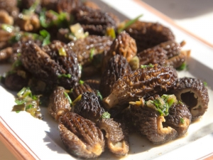 &Mu;&omicron;&rho;&chi;έ&lambda;&epsilon;&sigmaf; &sigma;&omicron;&tau;έ &mu;&epsilon; &lambda;&epsilon;&upsilon;&kappa;ό &kappa;&rho;&alpha;&sigma;ί