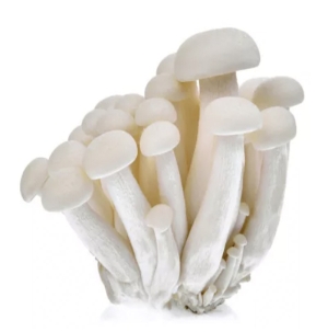 Shimeji &lambda;&epsilon;&upsilon;&kappa;ό