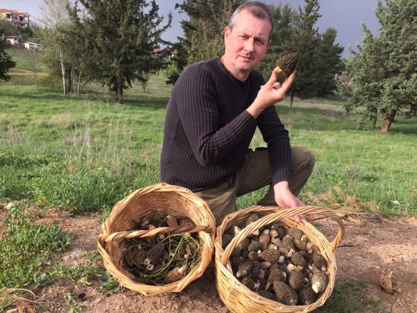 N. Philippopoulos: The "Guru" of wild mushrooms &amp; Truffles in Greece