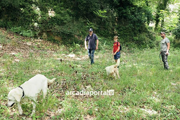 &Kappa;&upsilon;&nu;ή&gamma;&iota; &mu;&alpha;&nu;&iota;&tau;&alpha;&rho;&iota;ώ&nu; &kappa;&alpha;&iota; &tau;&rho;&omicron;ύ&phi;&alpha;&sigmaf; &sigma;&tau;&eta;&nu; &Kappa;&upsilon;&nu;&omicron;&upsilon;&rho;ί&alpha;