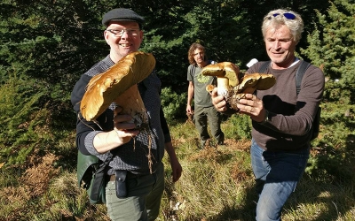 Mushroom &amp; Truffle Hunting Tour