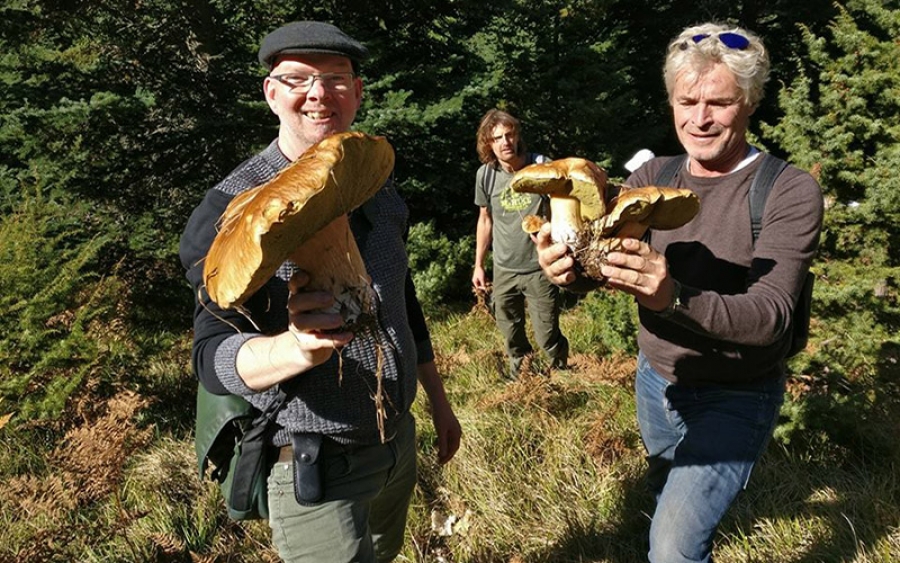 Mushroom & Truffle Hunting Tour