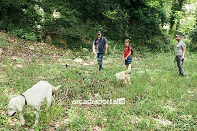 &Kappa;&upsilon;&nu;ή&gamma;&iota; &mu;&alpha;&nu;&iota;&tau;&alpha;&rho;&iota;ώ&nu; &kappa;&alpha;&iota; &tau;&rho;&omicron;ύ&phi;&alpha;&sigmaf; &sigma;&tau;&eta;&nu; &Kappa;&upsilon;&nu;&omicron;&upsilon;&rho;ί&alpha;