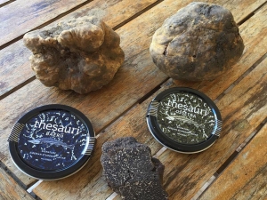 &Mu;&alpha;&nu;&iota;&tau;ά&rho;&iota;&alpha;: &Omicron; &alpha;&nu;&alpha;&xi;&iota;&omicron;&pi;&omicron;ί&eta;&tau;&omicron;&sigmaf; &pi;&lambda;&omicron;ύ&tau;&omicron;&sigmaf; &tau;&eta;&sigmaf; &Epsilon;&lambda;&lambda;ά&delta;&alpha;&sigmaf;