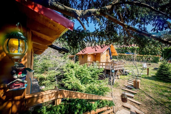 2 days mushrooms &amp; truffle hunting 26-28 of June