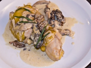 &Kappa;&omicron;&tau;ό&pi;&omicron;&upsilon;&lambda;&omicron; &mu;&epsilon; &mu;&omicron;&rho;&chi;έ&lambda;&epsilon;&sigmaf;