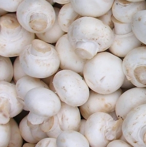 &Alpha;&gamma;&alpha;&rho;&iota;&kappa;ό &lambda;&epsilon;&upsilon;&kappa;ό