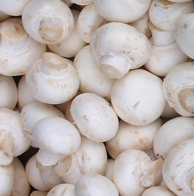 &Alpha;&gamma;&alpha;&rho;&iota;&kappa;ό &lambda;&epsilon;&upsilon;&kappa;ό