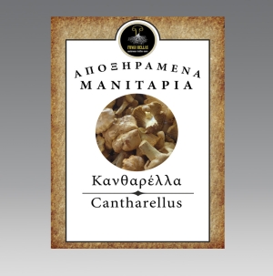 &Alpha;&pi;&omicron;&xi;&eta;&rho;&alpha;&mu;έ&nu;&epsilon;&sigmaf; &kappa;&alpha;&nu;&theta;&alpha;&rho;έ&lambda;&lambda;&epsilon;&sigmaf;