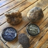 Truffles from Fungi Hellas