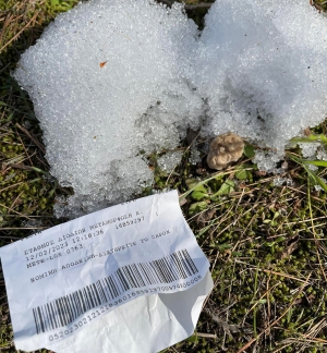 H &pi;&rho;ώ&tau;&eta; &mu;&omicron;&rho;&chi;έ&lambda;&alpha; &sigma;&tau;&eta;&nu; &Epsilon;&upsilon;&rho;ώ&pi;&eta; &gamma;&iota;&alpha; &tau;&omicron; 2023