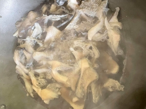 &Mu;&alpha;&rho;&tau;&omicron;ύ&lambda;&iota;&alpha; &sigma;&omicron;&tau;&alpha;&rho;&iota;&sigma;&mu;έ&nu;&alpha;