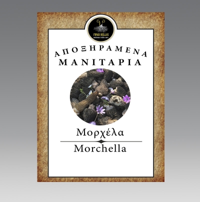 &Alpha;&pi;&omicron;&xi;&eta;&rho;&alpha;&mu;έ&nu;&epsilon;&sigmaf; &mu;&omicron;&rho;&chi;έ&lambda;&epsilon;&sigmaf;