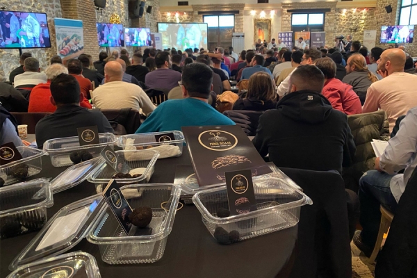 3 star Starters &amp; Main Courses