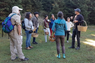 Hunting Group 2018 &ndash; Israel