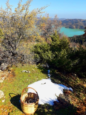 &Mu;&alpha;&nu;&iota;&tau;&alpha;&rho;&omicron;&kappa;&upsilon;&nu;ή&gamma;&iota; &amp; &Tau;&rho;&omicron;&upsilon;&phi;&omicron;&kappa;&upsilon;&nu;ή&gamma;&iota; 25-26-27 &Mu;&alpha;&rho;&tau;ί&omicron;&upsilon;