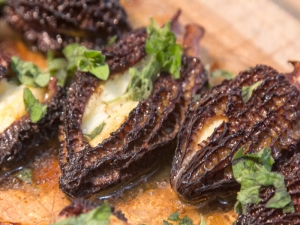 &Mu;&omicron;&rho;&chi;έ&lambda;&epsilon;&sigmaf; &Gamma;&epsilon;&mu;&iota;&sigma;&tau;έ&sigmaf; &mu;&epsilon; &Tau;&alpha;&lambda;&alpha;&gamma;ά&nu;&iota;