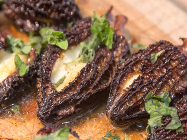 &Mu;&omicron;&rho;&chi;έ&lambda;&epsilon;&sigmaf; &Gamma;&epsilon;&mu;&iota;&sigma;&tau;έ&sigmaf; &mu;&epsilon; &Tau;&alpha;&lambda;&alpha;&gamma;ά&nu;&iota;