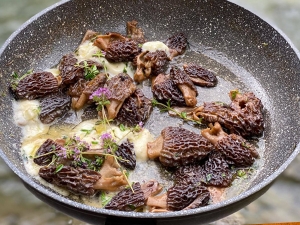 &Mu;&omicron;&rho;&chi;έ&lambda;&epsilon;&sigmaf; &sigma;&tau;&omicron; &tau;&eta;&gamma;ά&nu;&iota;