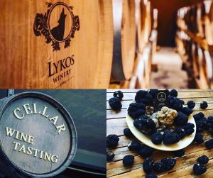 New Fungi Hellas collaboration