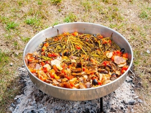 Ά&gamma;&rho;&iota;&alpha; &sigma;&pi;&alpha;&rho;ά&gamma;&gamma;&iota;&alpha; &kappa;&alpha;&iota; &omicron;&beta;&rho;&iota;έ&sigmaf; &sigma;&tau;&omicron;&nu; &phi;&omicron;ύ&rho;&nu;&omicron;