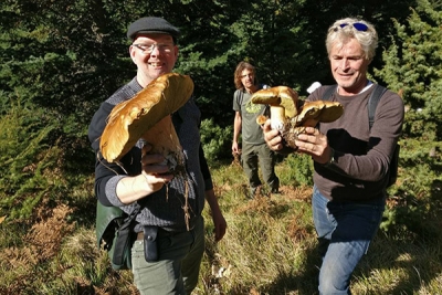 Hunting Group 2018 &ndash; Netherlands