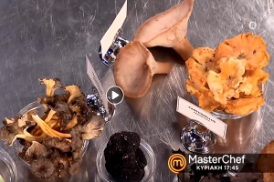 &Eta; Fungihellas &sigma;&tau;&omicron; Master Chef 4