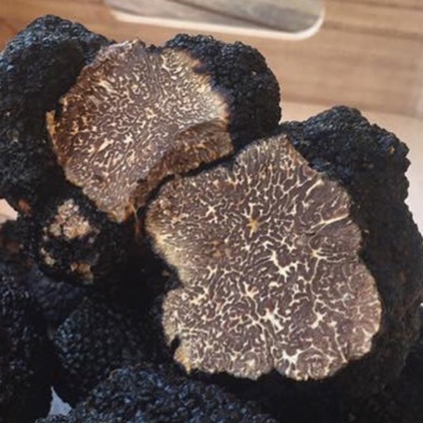 Tuber Mesentericum
